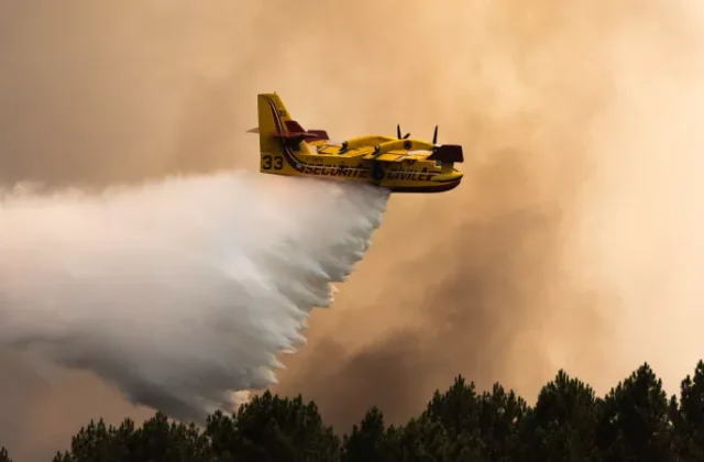France Wildfires Threaten Bordeaux Wine Country as Extreme Heat Raises Alarm for Vineyards and Communities